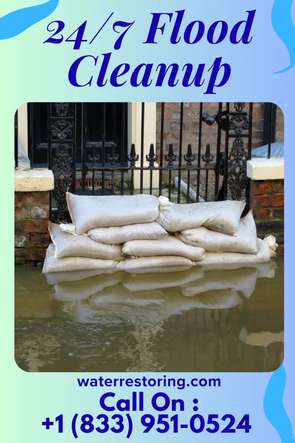 24/7 Flood Cleanup in Milo, MO