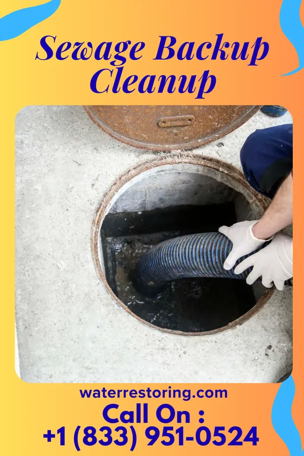 Sewage Backup Cleanup in Milo, MO